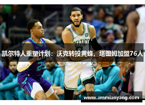 凯尔特人重塑计划：沃克转投黄蜂，塔图姆加盟76人