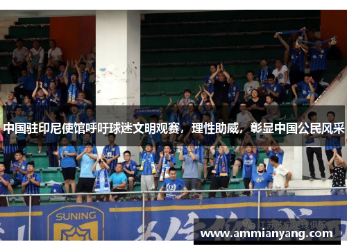 中国驻印尼使馆呼吁球迷文明观赛，理性助威，彰显中国公民风采